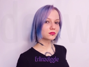 Erlinadiggle