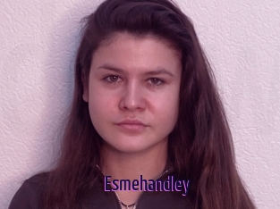 Esmehandley