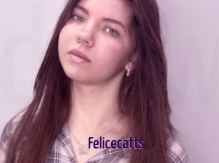 Felicecatts