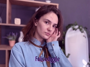 Felicediggle