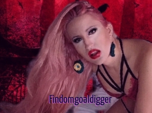 Findomgoaldigger