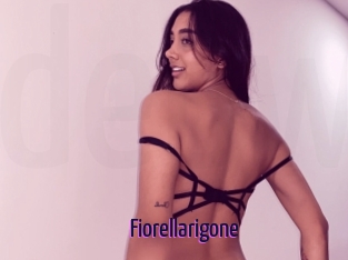 Fiorellarigone