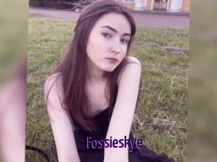Fossieskye