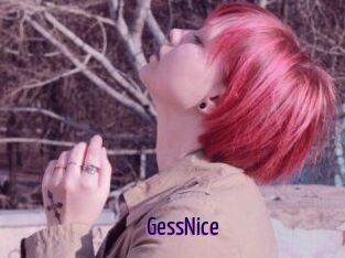 GessNice