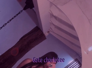 Gate_charlotee