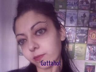 Gattahot