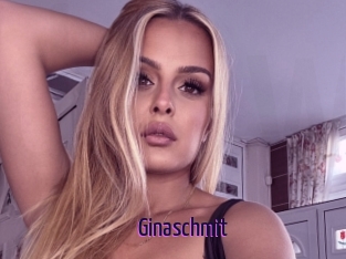 Ginaschmit