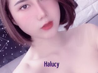 Halucy