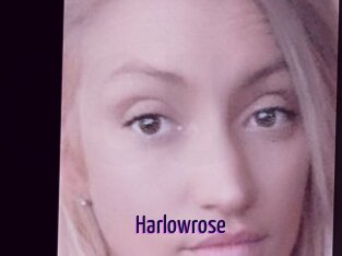 Harlowrose