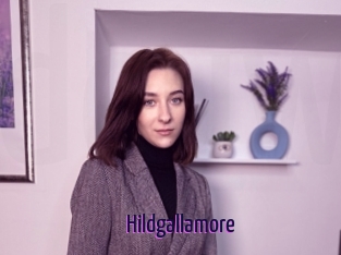 Hildgallamore