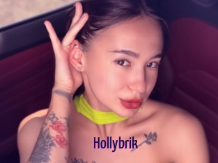 Hollybrik