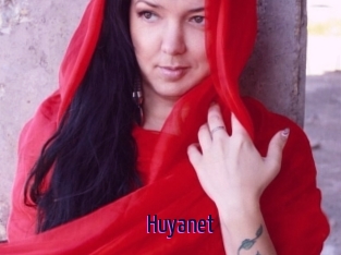 Huyanet