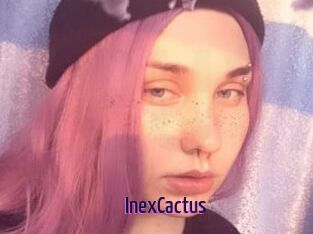 InexCactus Deutsche Webcam Girls
