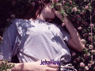JekaFlow