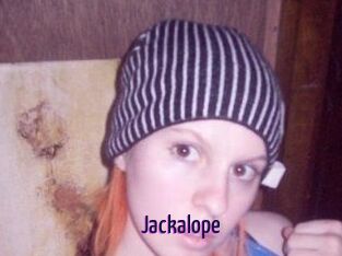 Jackalope