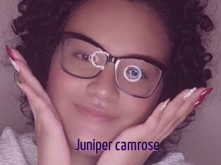 Juniper_camrose
