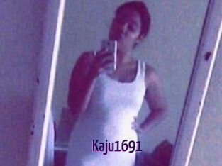 Kaju1691