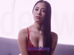 Karlieebunny