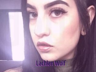 Lachlan_Wolf