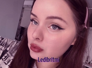 Ledibritmi