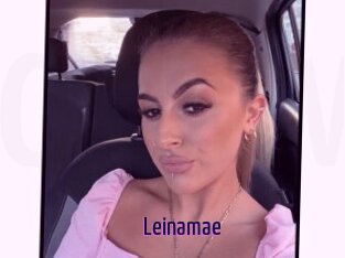 Leinamae