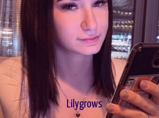 Lilygrows
