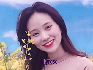 Lilyrose