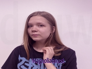 Magnoliaforest