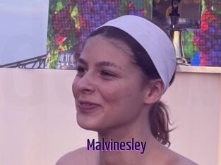 Malvinesley