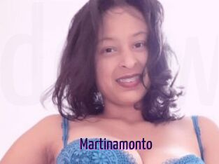 Martinamonto