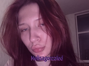 Melisagonzaled