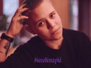 Merelinsapid