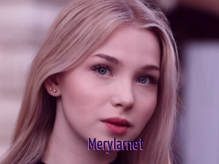 Merylarnet