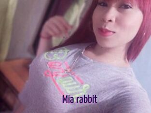 Mia_rabbit