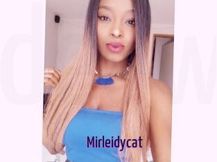 Mirleidycat