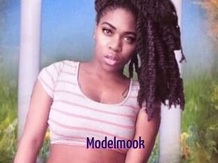 Modelmook