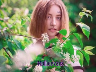Mollieevans