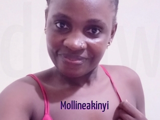 Mollineakinyi