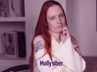 Mollysiber