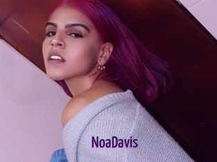 NoaDavis