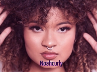 Noahcurly