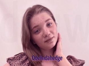 Odelindahedge