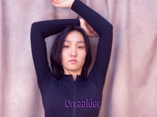 Orvaalder
