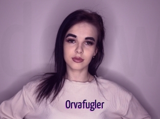 Orvafugler