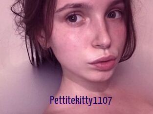 Pettitekitty1107