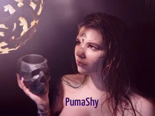 PumaShy