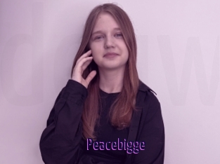 Peacebigge