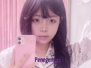 Penegemma