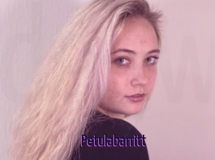 Petulabarritt