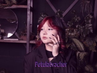 Petulabracher